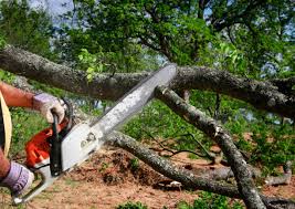 Best Pest Control for Lawns  in Columbus, MS